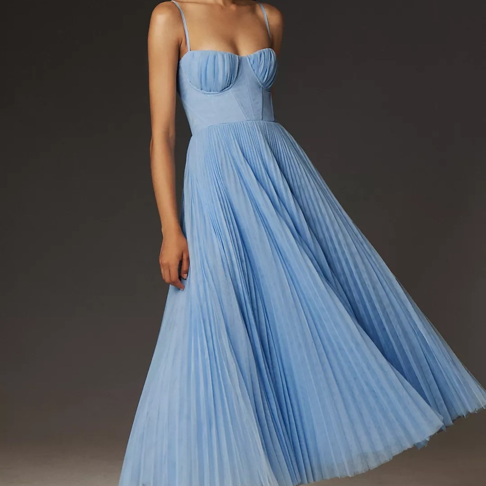Anthropologie Hutch Amara Corset Pleated Tulle Fit & Flare Midi Dress